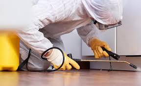 Best Pest Control for Multi-Family Homes  in Springfield, MN